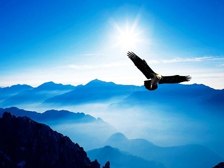 現(xiàn)代建筑人進(jìn)階之路：如何從一個(gè)施工員成長(zhǎng)為項(xiàng)目總