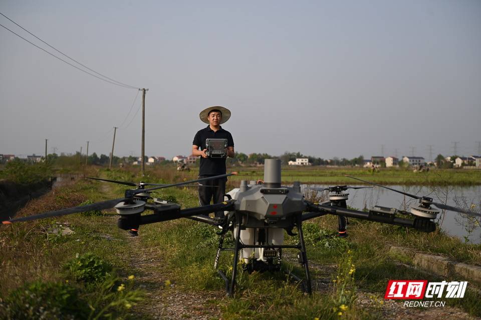 時刻·在場丨無人機+插秧機“雙劍合璧” 望城早稻種植跑出“加速度”:插秧機
