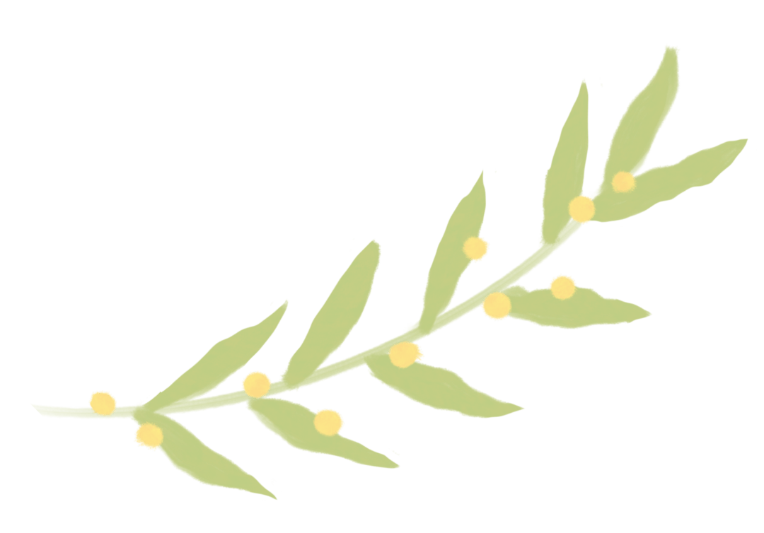 春耕正當(dāng)時<strong></p>
<p>插秧機
</strong>，沃得驍龍高速乘坐式插秧機為您的水稻種植助力！:插秧機
