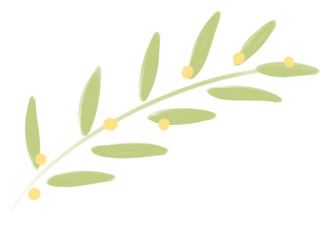 春耕正當(dāng)時<strong></p>
<p>插秧機
</strong>，沃得驍龍高速乘坐式插秧機為您的水稻種植助力！:插秧機
