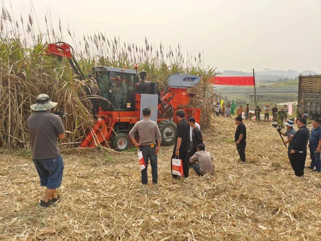 對標國外先進農(nóng)機品牌<strong></p>
<p>插秧機
</strong>，履拖、收獲機、插秧機等機具將迎來深度研發(fā)！:插秧機
