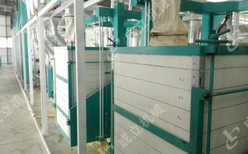 吉林玉米渣子磨面機，日產20噸玉米飼料加工設備廠家:玉米收獲機