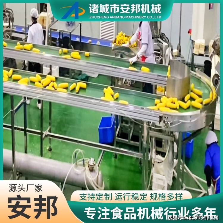 自動化鮮食玉米蒸煮機(jī):玉米收獲機(jī)
