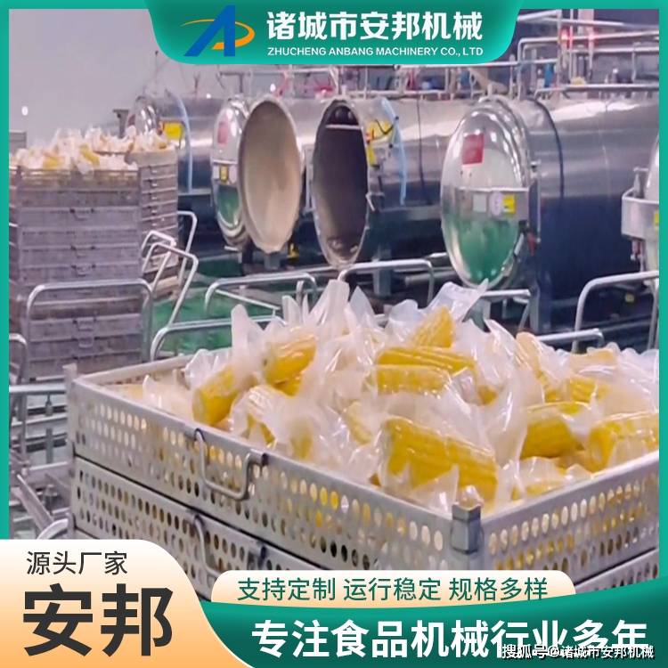 自動化鮮食玉米蒸煮機(jī):玉米收獲機(jī)