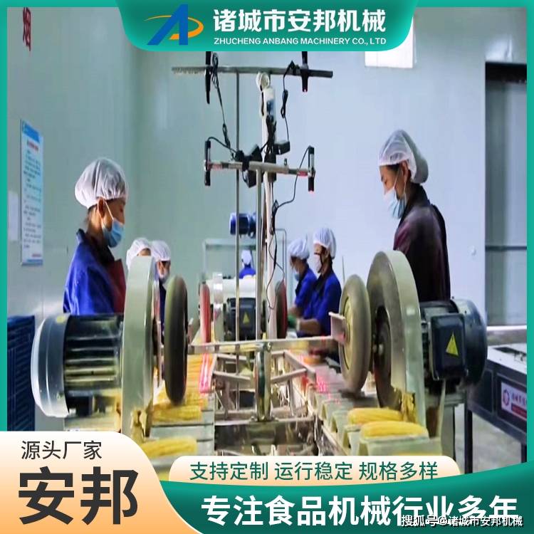 新式鮮食玉米清洗機 自動化玉米扒皮清洗流水線:玉米收獲機